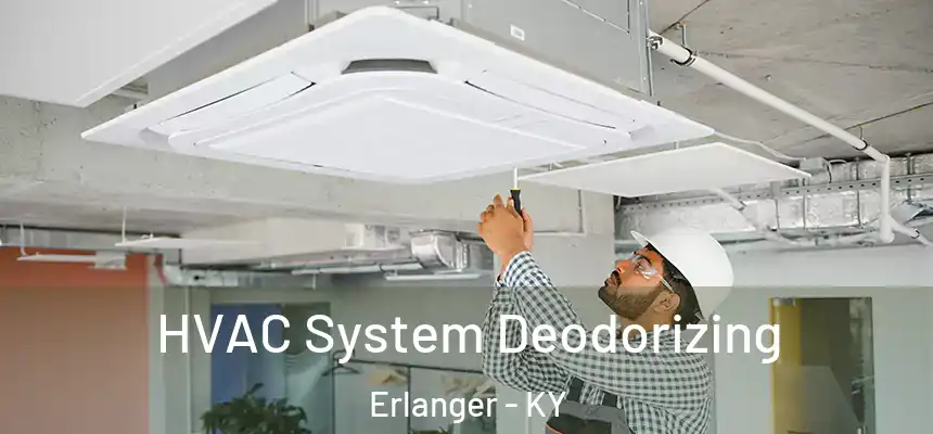 HVAC System Deodorizing Erlanger - KY