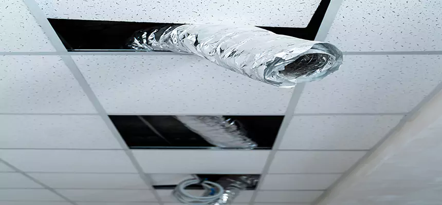 Affordable HVAC Sanitizing After Pest Removal in Erlanger