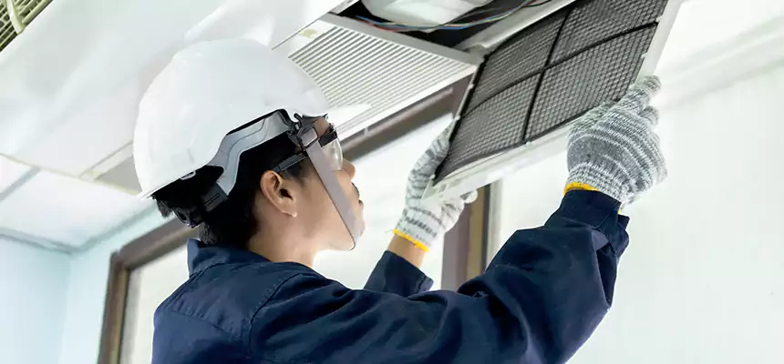 Our Mold & Mildew Removal from Air Ducts Services in Erlanger, KY