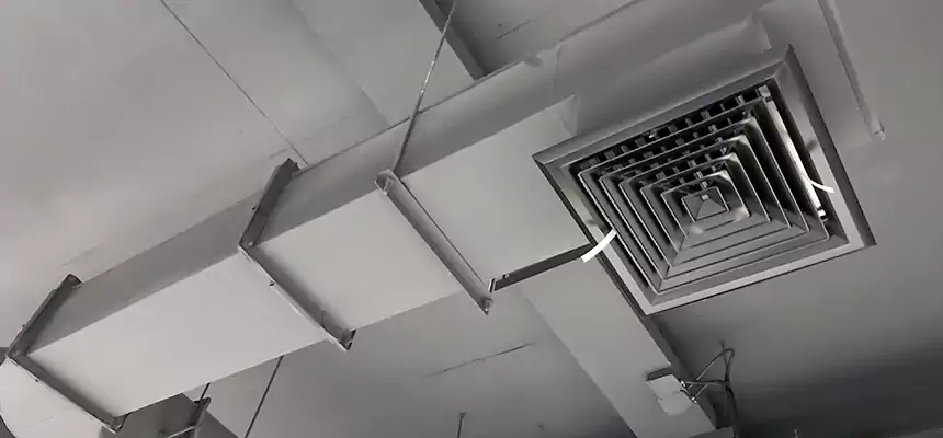 Our Pest Removal From Ducts Services in Erlanger, KY