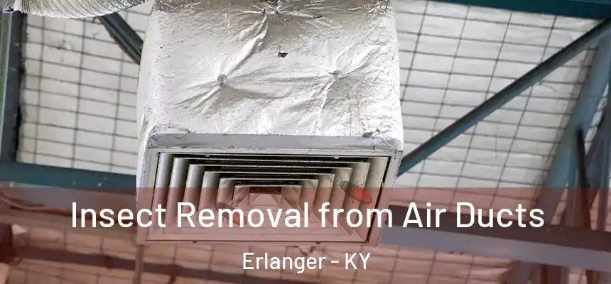 Insect Removal from Air Ducts Erlanger - KY