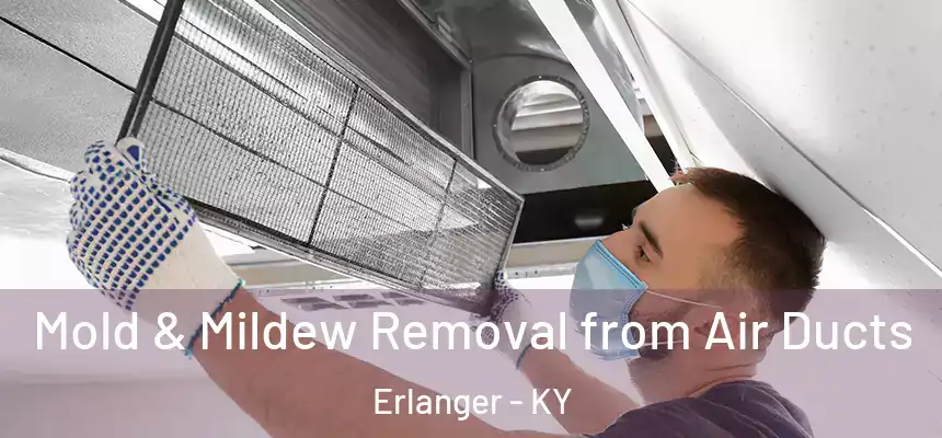  Mold & Mildew Removal from Air Ducts Erlanger - KY