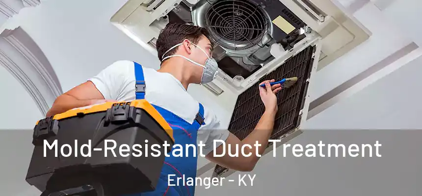  Mold-Resistant Duct Treatment Erlanger - KY
