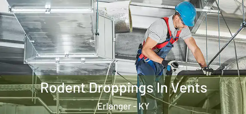  Rodent Droppings In Vents Erlanger - KY