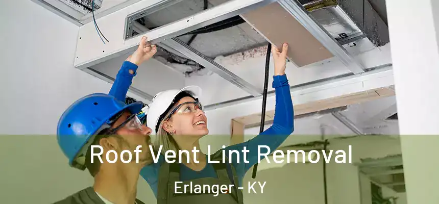 Roof Vent Lint Removal Erlanger - KY