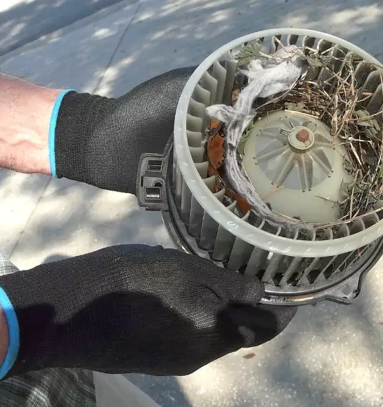 About Air Duct Mice Removal in Erlanger, KY