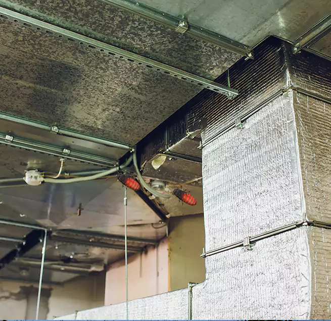 Why Homeowners & Businesses Trust Us Erlanger, KY?